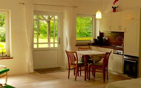 Ferienwohnung Vogelsang
